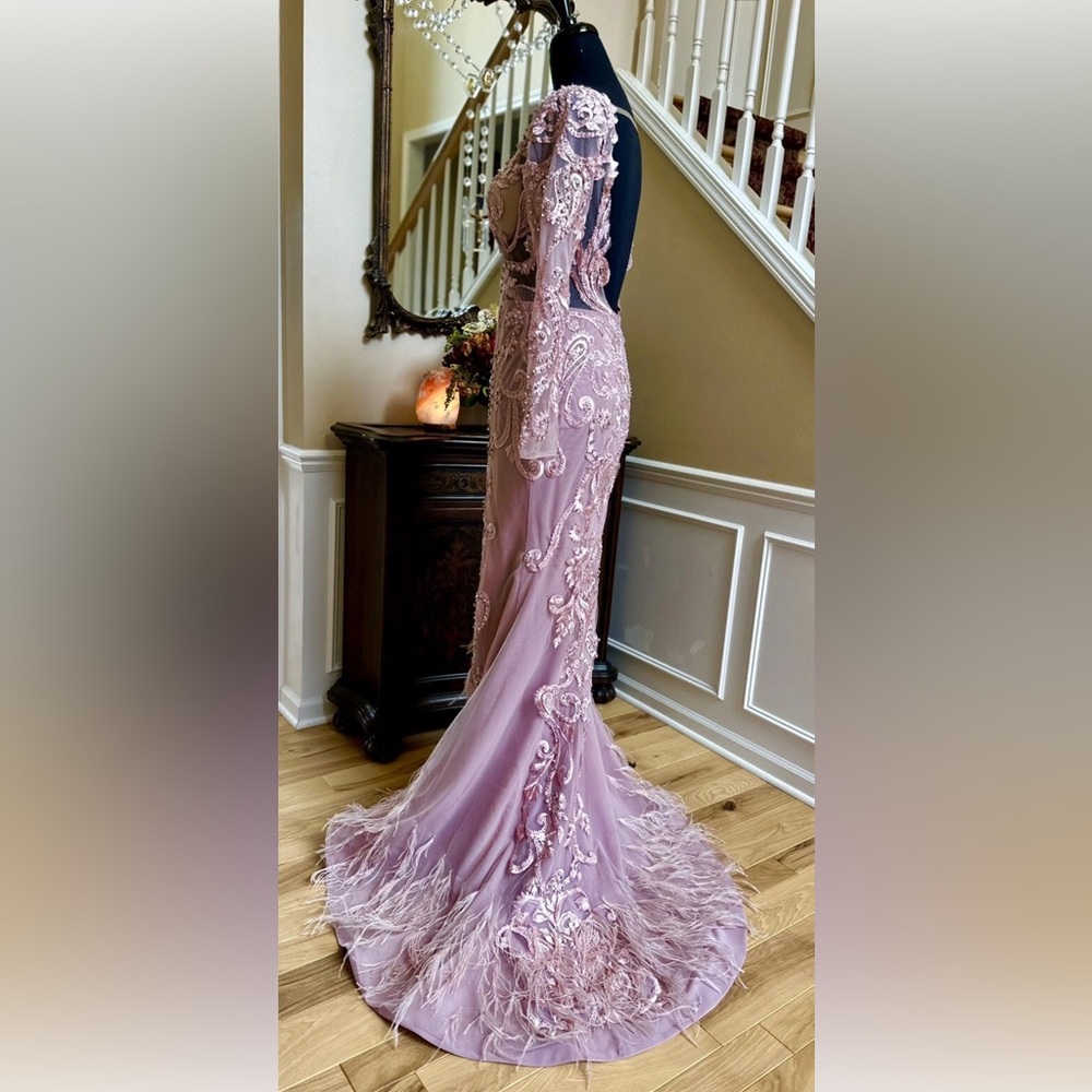 Portia and Scarlett Blush Long Sleeve Feather Fringed Embroidered Gown Size 6 - Picture 7 of 16